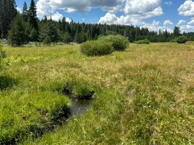 Before: 22 July 2025