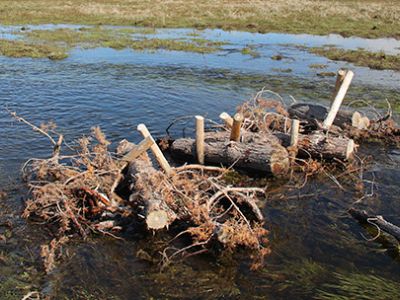 Low-Tech Process Based Restoration BDA spring runoff overflow