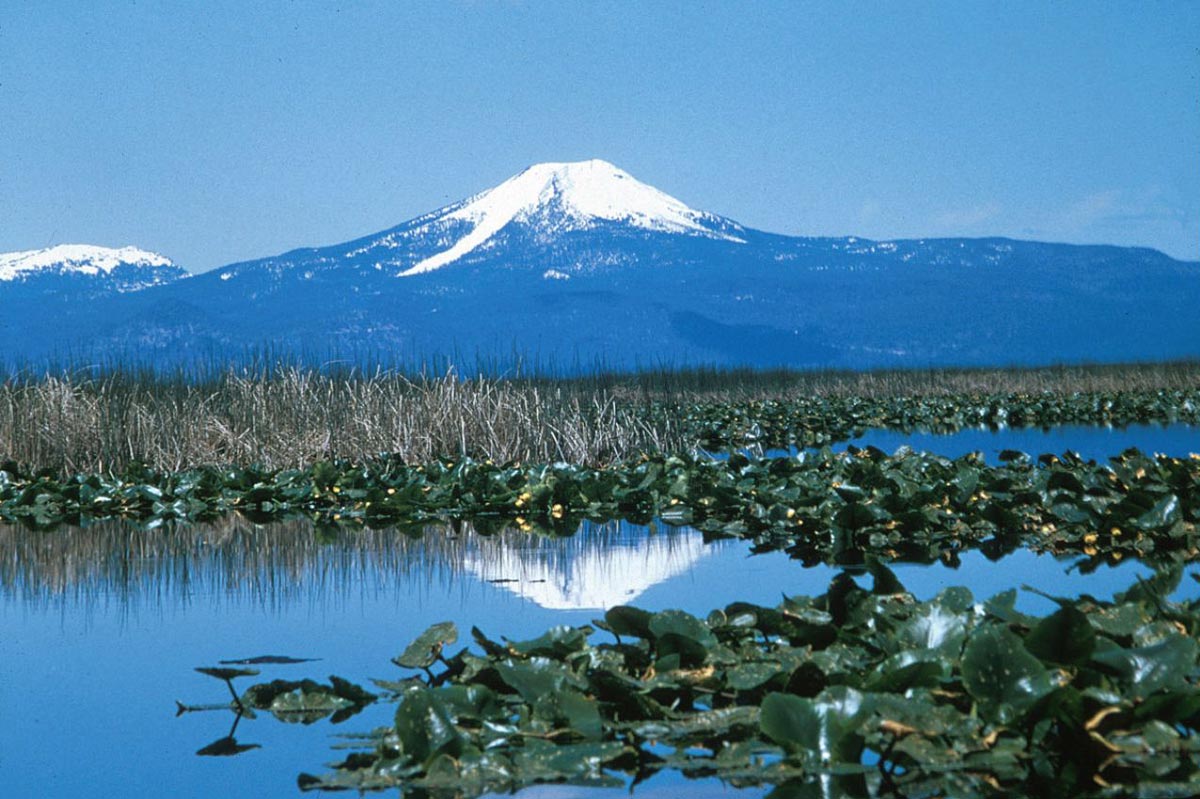 snow capped mountain view from Upper Klamath Marsh